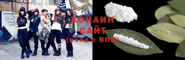 прущие грибы Арсеньев