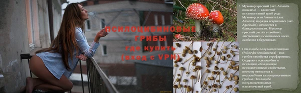 прущие грибы Арсеньев