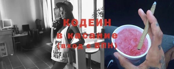 прущие грибы Арсеньев