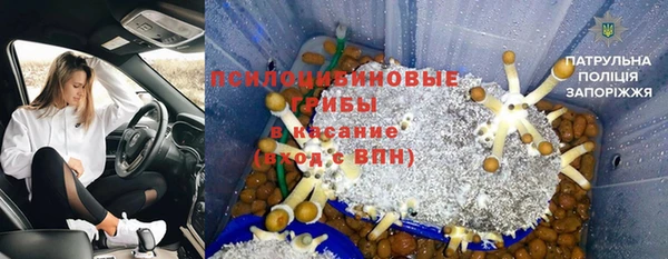 прущие грибы Арсеньев