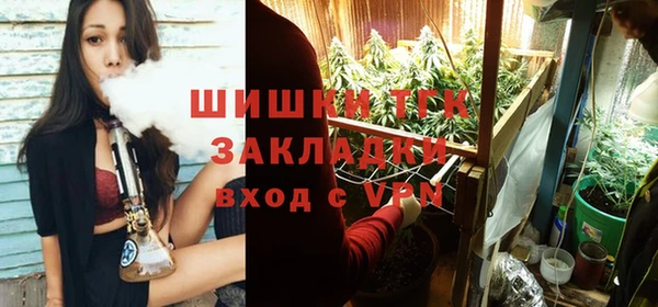 прущие грибы Арсеньев