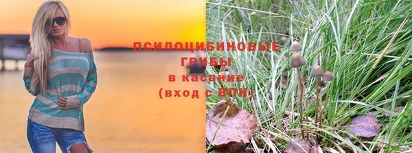 прущие грибы Арсеньев