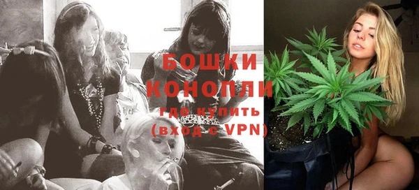 прущие грибы Арсеньев