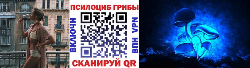 MEGA как войти  Ершов  Галлюциногенные грибы GOLDEN TEACHER 